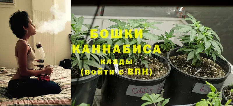 Конопля VHQ  blacksprut как зайти  Геленджик  купить  